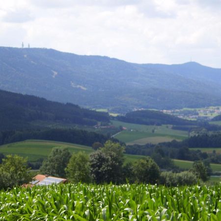 Gasthof - Pension Schamberger Neukirchen beim Heiligen Blut Luaran gambar